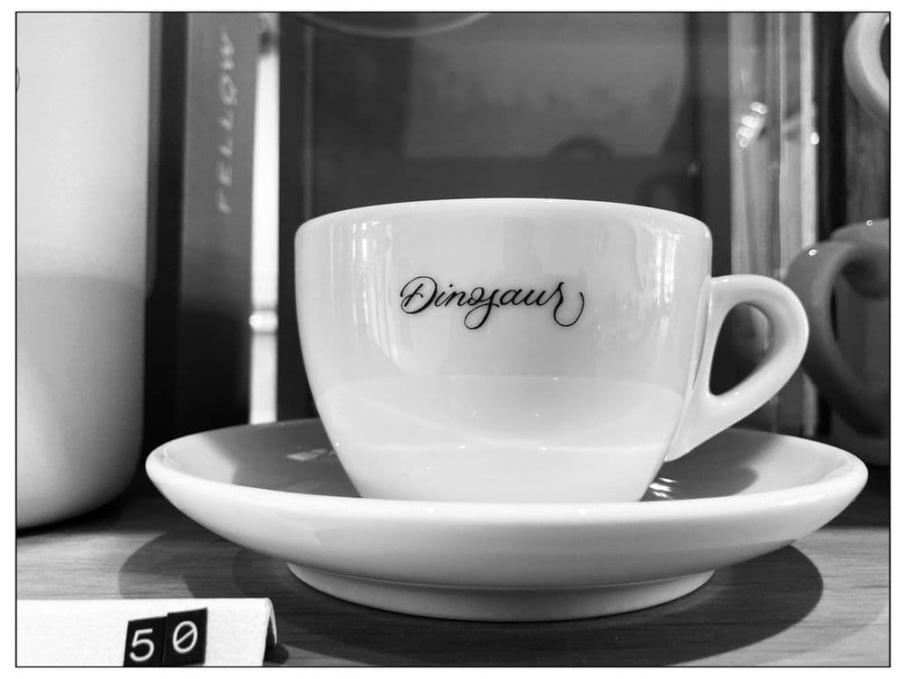 Inside Dinosaur Coffee